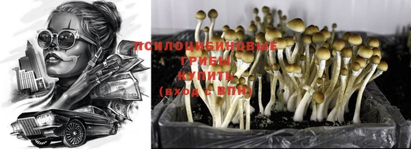ПСИЛОЦИБИНОВЫЕ ГРИБЫ Армянск