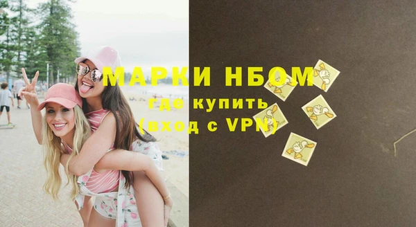 Альфа ПВП Аркадак