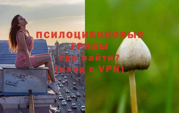 ПСИЛОЦИБИНОВЫЕ ГРИБЫ Армянск