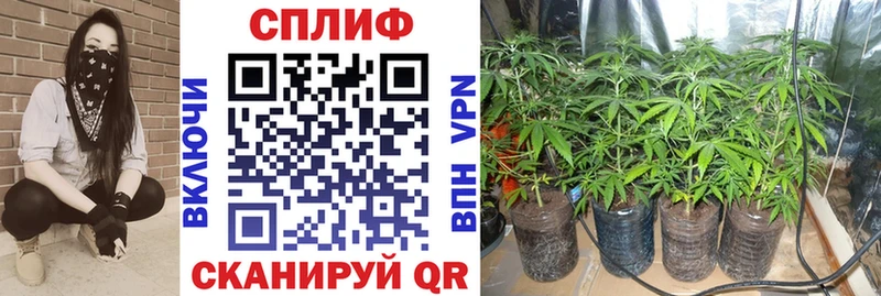 ОМГ ОМГ   Мурманск  МАРИХУАНА VHQ 